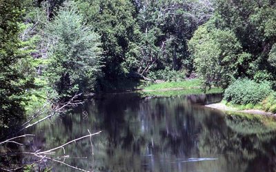 River, location unknown