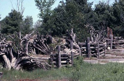 Fence, Location unknown