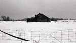 Log barn complex, 5th Line, Carden Township