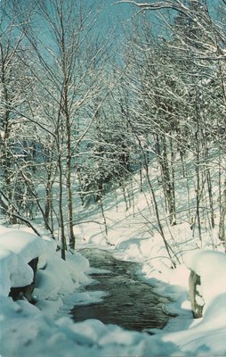 Valentia, Ont. The northern entrance to Lake Scugog. Winter stream