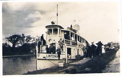 Lintonia, front view