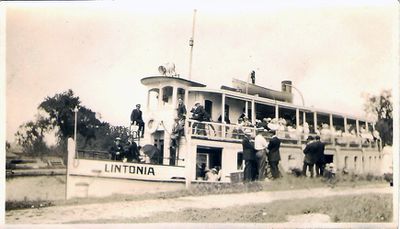 Lintonia, side view