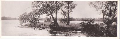 Bobcaygeon bookmark postcard