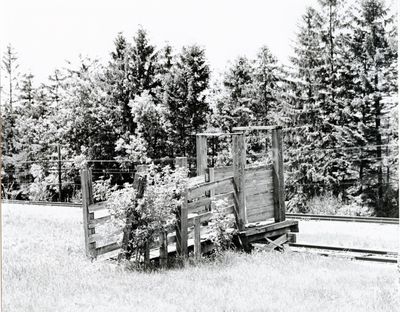 Cattle loading chute, Pontypool