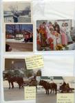 page 87 - Winter Carnival 1973