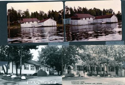 page 93 - Thurstonia Marina and Earnscliffe Hotel