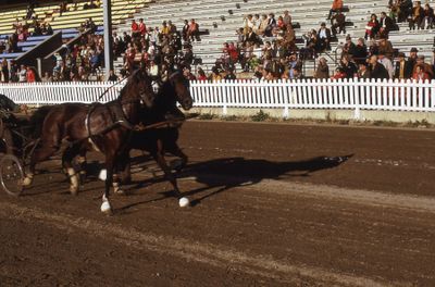 Lindsay Exhibition 1973