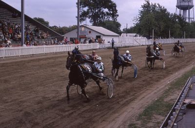 Lindsay Exhibition 1970