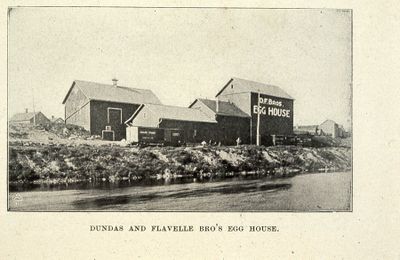 Dundas and Flavelle Egg House 1898