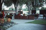 Library program, Outdoor film show in Victoria Park, 1973