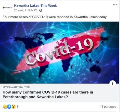 April 25: Four new COVID-19 cases reported in Kawartha Lakes