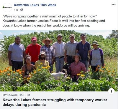 April 28: Kawartha Lakes farmers struggling with temporary worker delays during pandemic