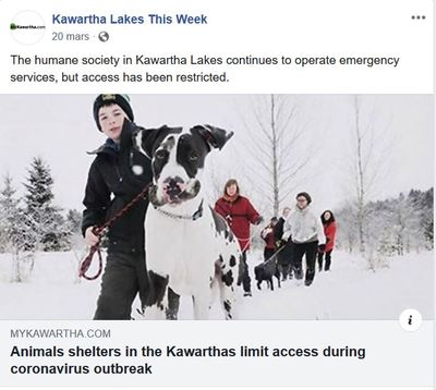 March 20: Animal shelters in the Kawarthas limit access during coronavirus outbreak