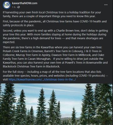 November 24: Where to harvest your own Christmas tree in the Kawarthas in 2020