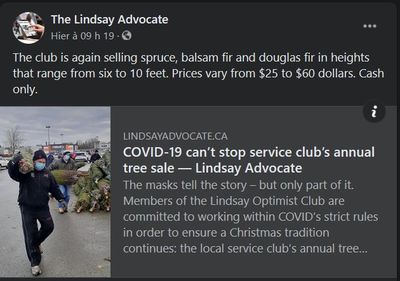 November 29: COVID-19 can't stop service club's annual tree sale