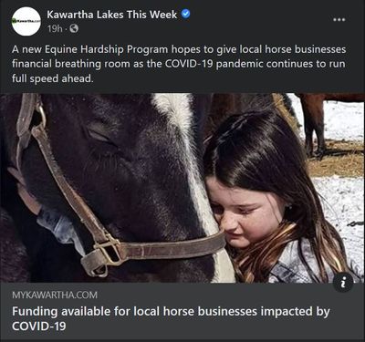 January 19: Funding available for local horse businesses impacted by COVID-19