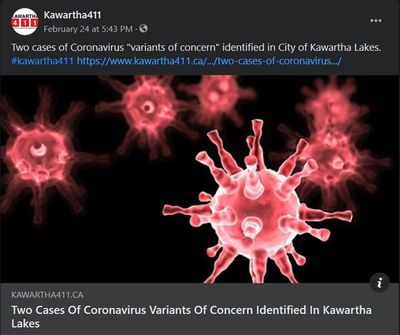 February 24: Two cases of coronavirus variants of concern identified in Kawartha Lakes