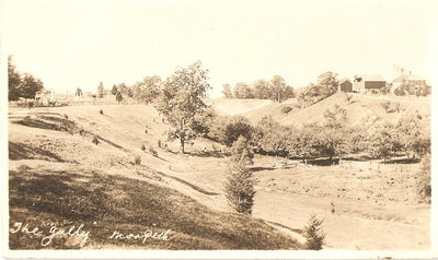 The Gully, Morpeth