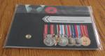 Remembrance Day Commemorative Coin Display