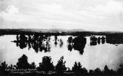 L'île Fox