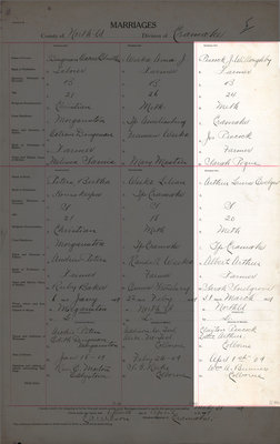 J. Willoughby Peacock and Laura Evelyn Arthur, Marriage Register, County of Northumberland, Division of Cramahe