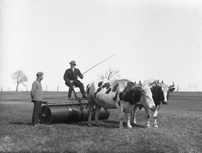 Henry Scott and an unidentified man driving Barney and Bob