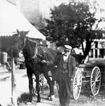 A man holding the reins of a horse drawn carriage, Colborne