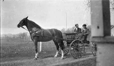 A man and a woman driving in a horse drawn carriage