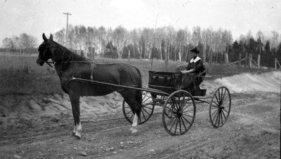 A woman driving a horse drawn carriage