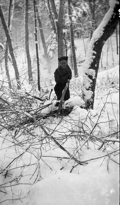 A man sawing wood in a winter forest