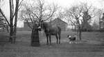 Unidentified woman with her horse and dog, Cramahe Township