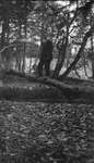 A man standing on a felled tree in the woods