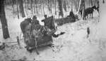 Deer hunters transporting deer in horse drawn sleighs