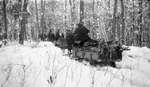 Deer hunters transporting slain deer in horse drawn sleighs