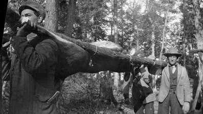 Deer hunters transporting a slain deer on a wooden carrier