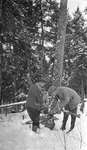 Three deer hunters transporting a slain stag in the snow