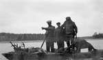 Four deer hunters transporting a load of slain deer by boat