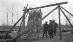 Four deer hunters examining slain deer hung on a wooden frame