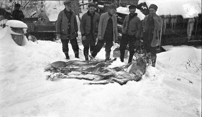 Deer hunters posing with deer outside their winter cabin