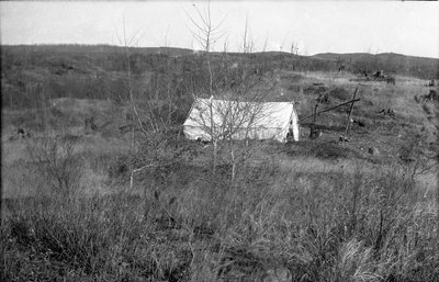 A tent pitched in a clearing