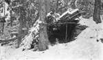 A hunting dog resting in a winter shelter