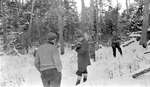 Four deer hunters in the woods