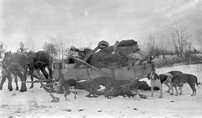 A horse drawn sleigh loaded with gear and slain deer