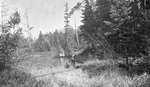 Two deer hunters standing in a clearing