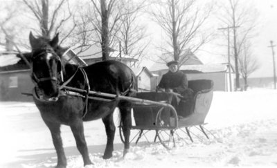 Leslie Rice in a cutter driving Prince