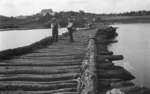Two men standing on a log bridge