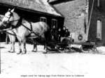 Horse drawn sleigh transporting eggs, Lawrence Mutton farm, Shiloh, Cramahe Township