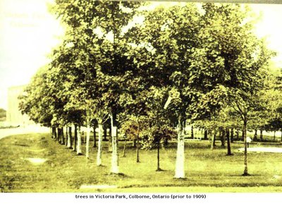 Victoria Square, Colborne