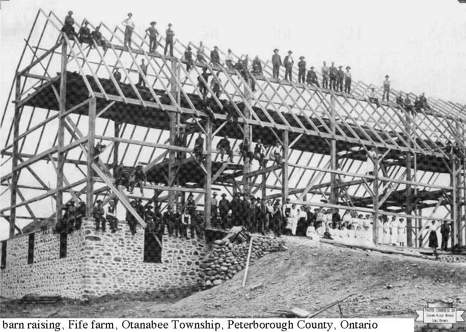 Fife barn raising, Otonabee, Peterborough County