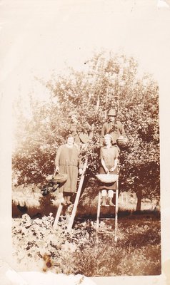 Exhibit photo from Apple Growing in Colborne by Joy Gifford - W.R. Scott Orchard